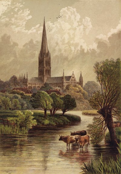 Salisbury Cathedral by English School